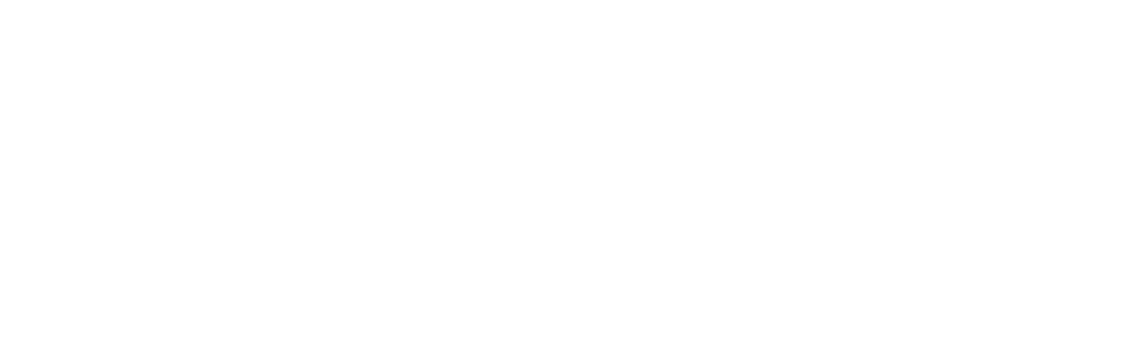 REBELSZN